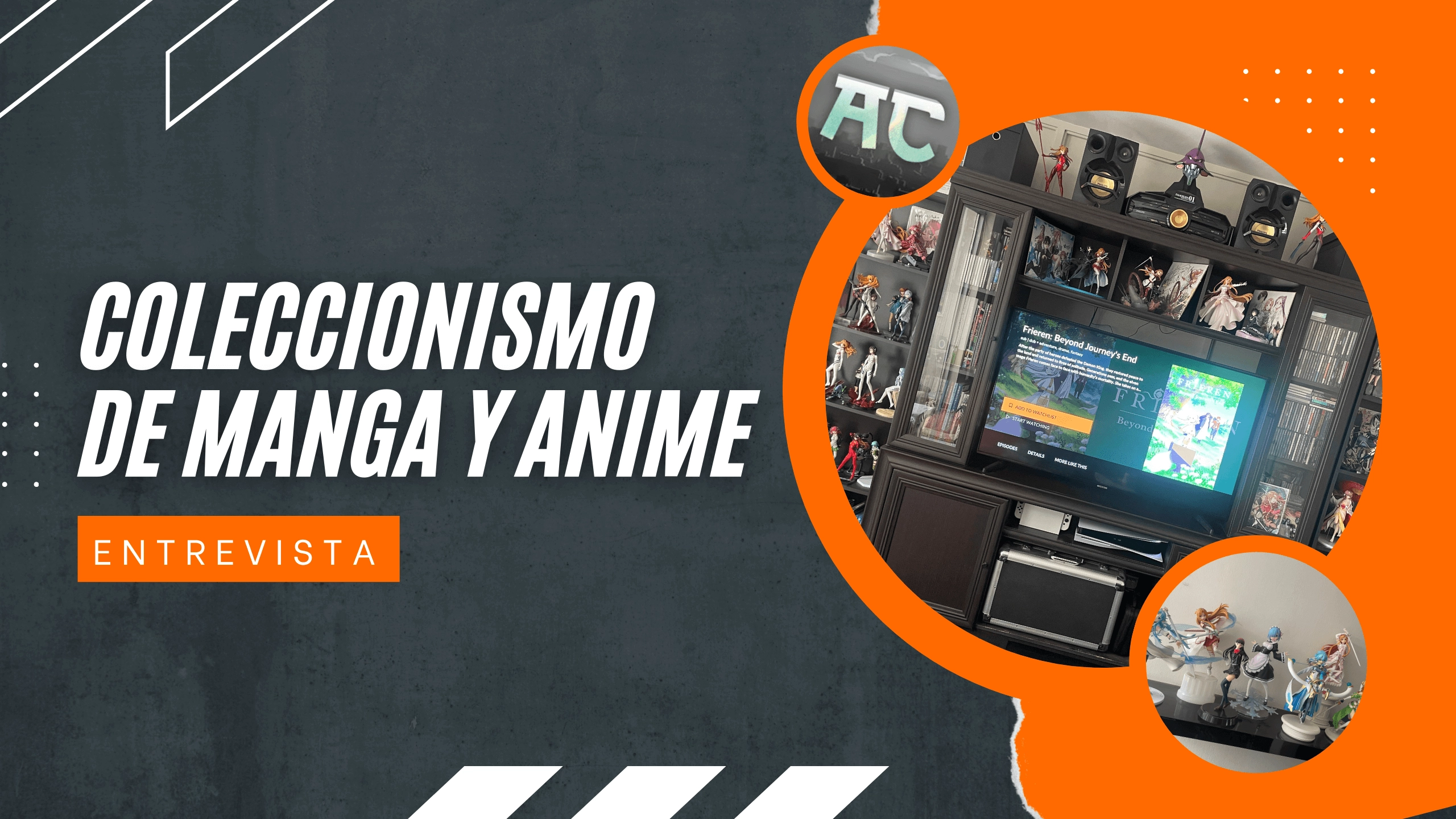 Entrevista: AniCollector nos enseña cómo podemos tener una colección de anime y manga