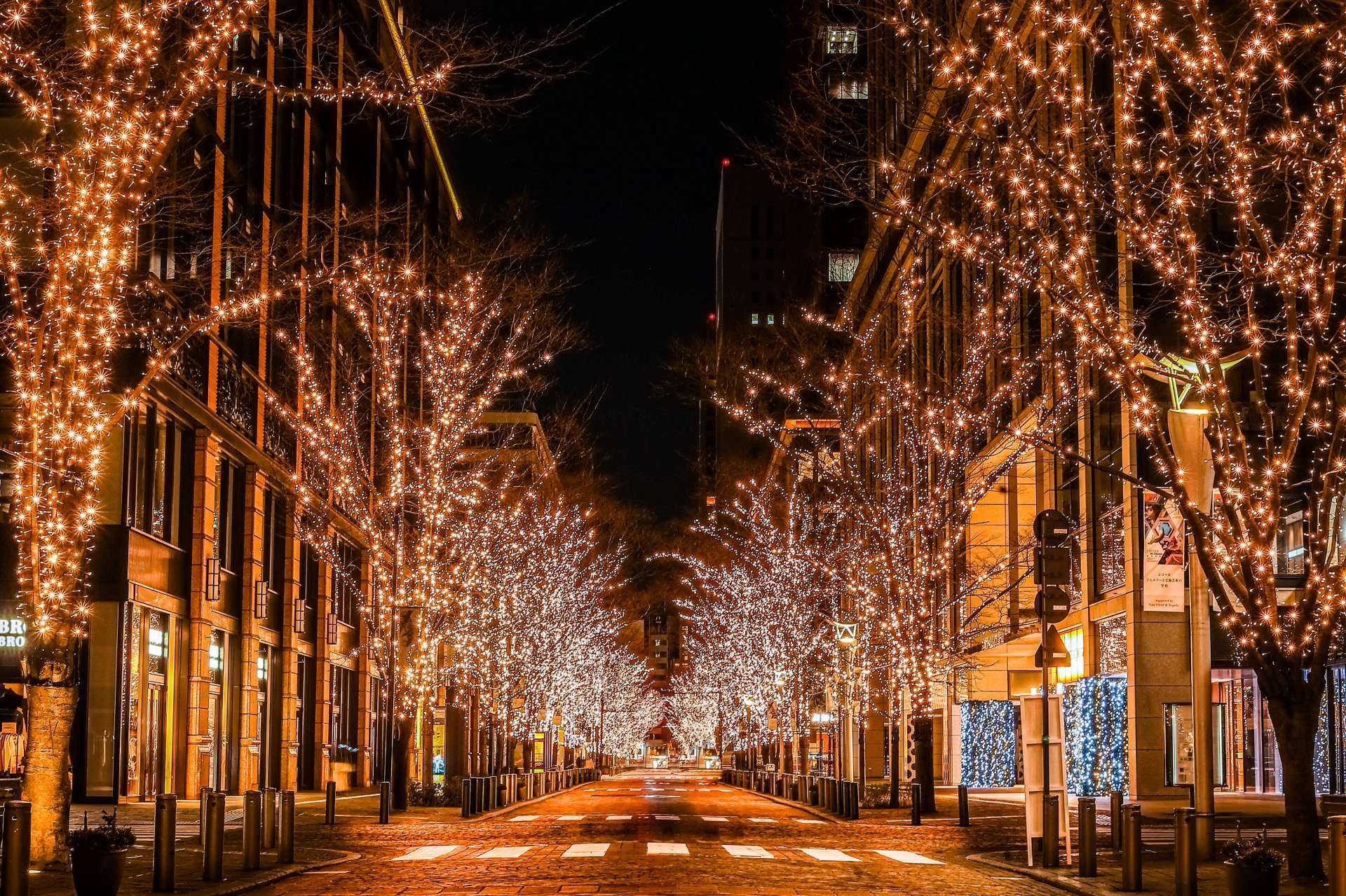 Luces de Navidad en Marunouchi Naka-dori, en Tokio, Japón